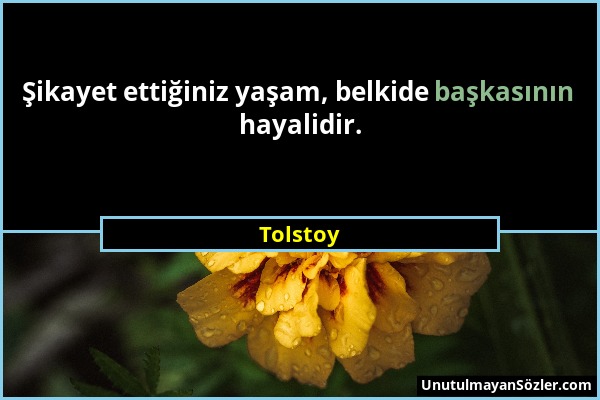 Tolstoy - Şikayet ettiğiniz yaşam, belkide başkasının hayalidir....