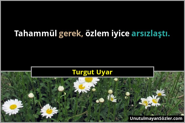 Turgut Uyar - Tahammül gerek, özlem iyice arsızlaştı....