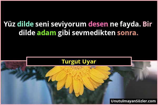 Turgut Uyar - Yüz dilde seni seviyorum desen ne fayda. Bir dilde adam gibi sevmedikten sonra....