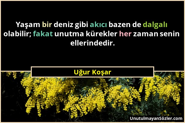 Uğur Koşar - Yaşam bir deniz gibi akıcı bazen de dalgalı olabilir; fakat unutma kürekler her zaman senin ellerindedir....