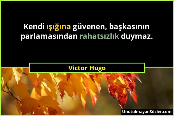 Victor Hugo - Kendi ışığına güvenen, başkasının parlamasından rahatsızlık duymaz....