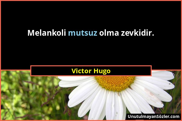 Victor Hugo - Melankoli mutsuz olma zevkidir....