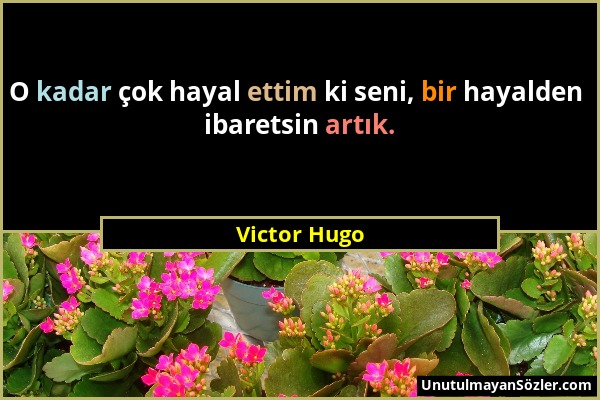 Victor Hugo - O kadar çok hayal ettim ki seni, bir hayalden ibaretsin artık....