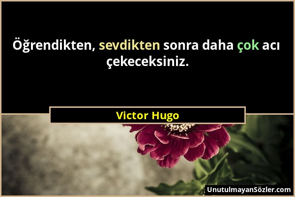 Victor Hugo - Öğrendikten, sevdikten sonra daha çok acı çekeceksiniz....