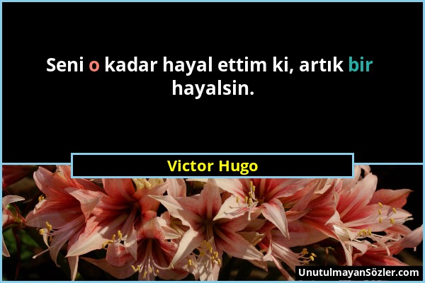 Victor Hugo - Seni o kadar hayal ettim ki, artık bir hayalsin....