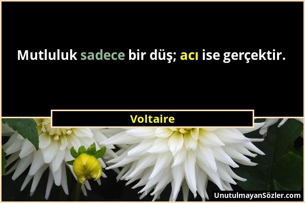 Voltaire - Mutluluk sadece bir düş; acı ise gerçektir....