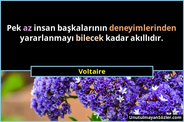 Voltaire - Pek az insan başkalarının deneyimlerinden yararlanmayı bilecek kadar akıllıdır....