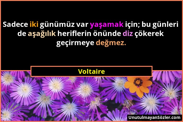 Voltaire - Sadece iki günümüz var yaşamak için; bu günleri de aşağılık heriflerin önünde diz çökerek geçirmeye değmez....