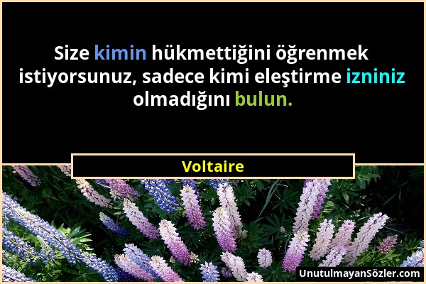 Voltaire - Size kimin hükmettiğini öğrenmek istiyorsunuz, sadece kimi eleştirme izniniz olmadığını bulun....