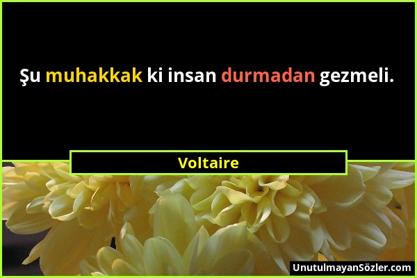 Voltaire - Şu muhakkak ki insan durmadan gezmeli....