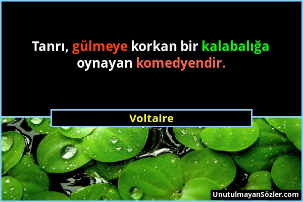 Voltaire - Tanrı, gülmeye korkan bir kalabalığa oynayan komedyendir....