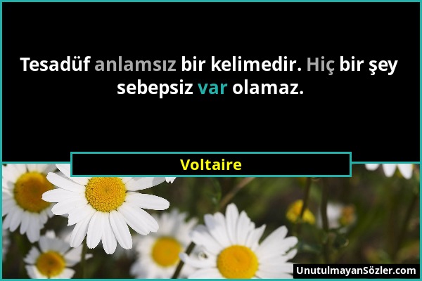 Voltaire - Tesadüf anlamsız bir kelimedir. Hiç bir şey sebepsiz var olamaz....