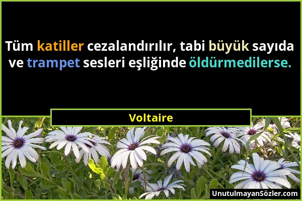 Voltaire - Tüm katiller cezalandırılır, tabi büyük sayıda ve trampet sesleri eşliğinde öldürmedilerse....