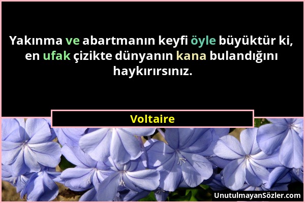 Voltaire - Yakınma ve abartmanın keyfi öyle büyüktür ki, en ufak çizikte dünyanın kana bulandığını haykırırsınız....