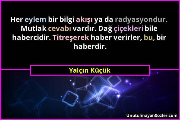 Yalçın Küçük - Her eylem bir bilgi akışı ya da radyasyondur. Mutlak cevabı vardır. Dağ çiçekleri bile habercidir. Titreşerek haber verirler, bu, bir h...