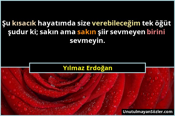 Yılmaz Erdoğan - Şu kısacık hayatımda size verebileceğim tek öğüt şudur ki; sakın ama sakın şiir sevmeyen birini sevmeyin....