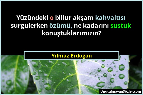 Yılmaz Erdoğan - Yüzündeki o billur akşam kahvaltısı surgulerken özümü, ne kadarını sustuk konuştuklarımızın?...