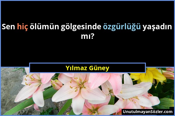 Yılmaz Güney - Sen hiç ölümün gölgesinde özgürlüğü yaşadın mı?...