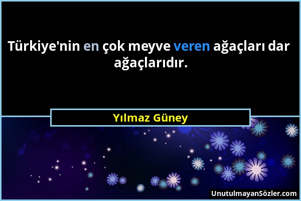 Yılmaz Güney - Türkiye'nin en çok meyve veren ağaçları dar ağaçlarıdır....