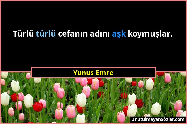 Yunus Emre - Türlü türlü cefanın adını aşk koymuşlar....