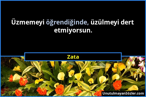 Zata - Üzmemeyi öğrendiğinde, üzülmeyi dert etmiyorsun....