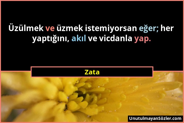 Zata - Üzülmek ve üzmek istemiyorsan eğer; her yaptığını, akıl ve vicdanla yap....