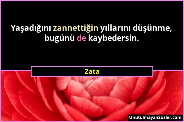 Zata - Yaşadığını zannettiğin yıllarını düşünme, bugünü de kaybedersin....